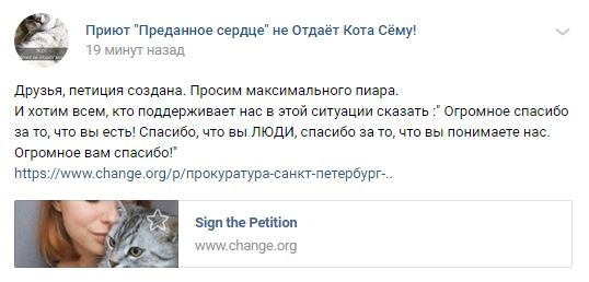 Помогите вернуть кота! Приют "Преданное сердце" украл кота и не отдает!