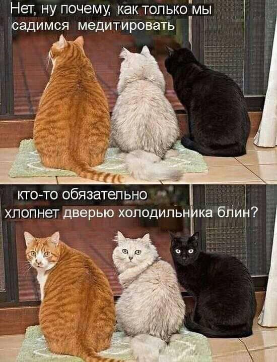 Разнокартинок псто 09.02.20