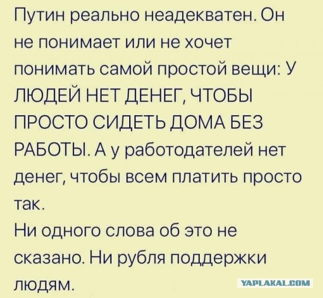 Карантин. День 11