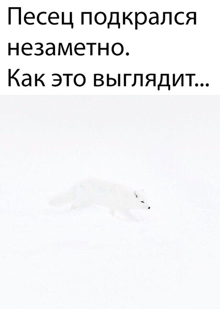 Немного картинок для настроения 20.04.20