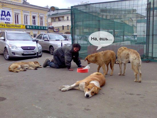 Лучший друг человека.... или наоборот!?