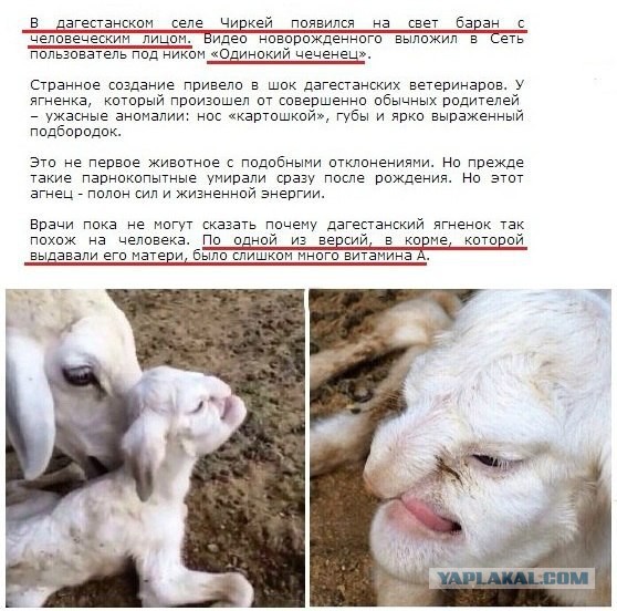Немного древних баянов и не только