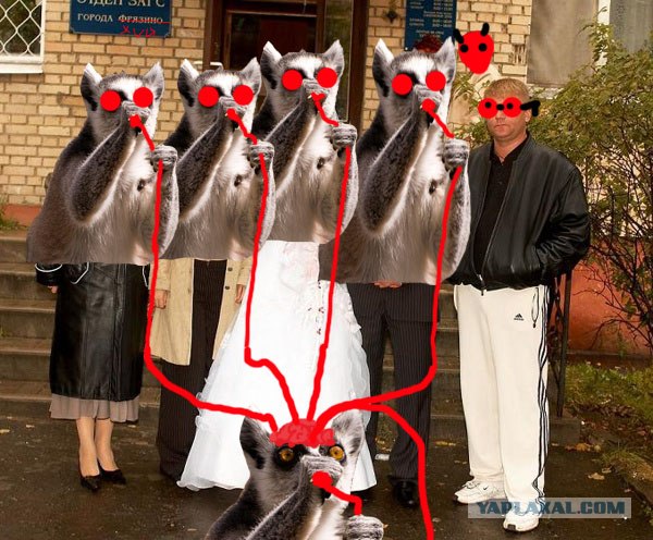 Сижу вот,отдыхаю