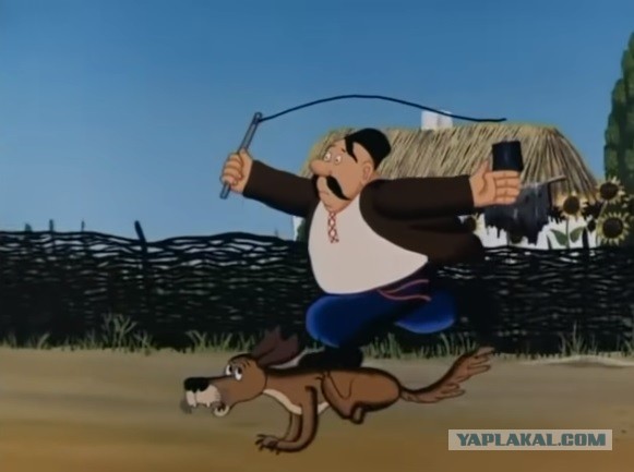"Охота" на кабана. С деревьев.