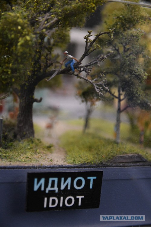 С сыном были в Гранд макете "Россия"