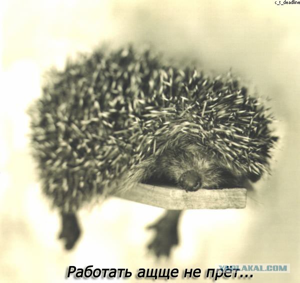 А как вы идете на работу?