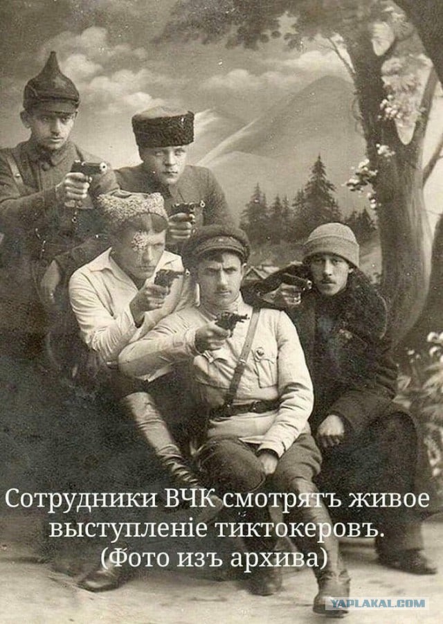 Весёлый полтишок 15.08