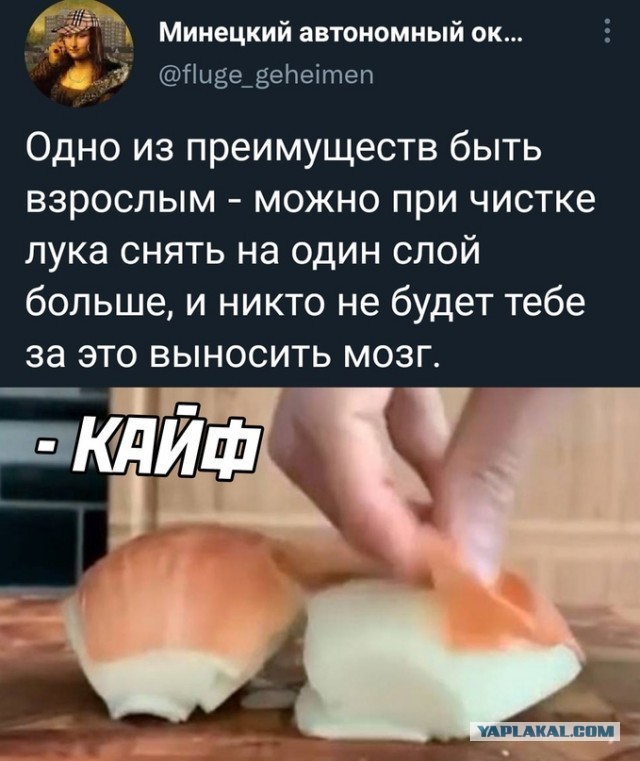 Весёлый полтишок 26.01