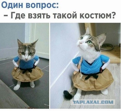 Муж отказывается от наследства