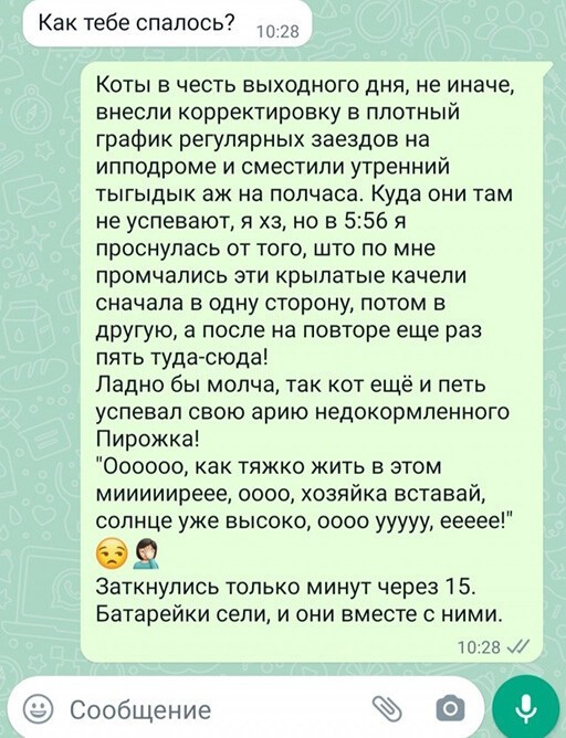 Баянисто-небаянистый юмор 30.03.22