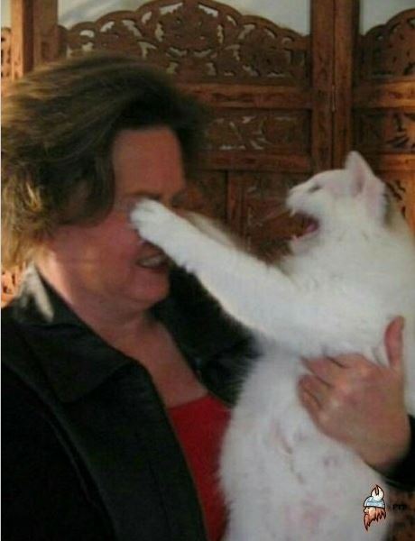 Щебетунья