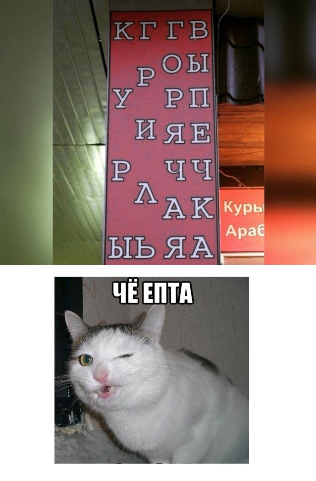 Весёлый полтишок 24.05.22