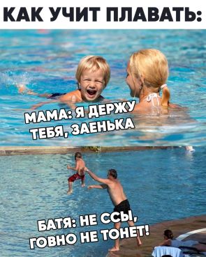 Утята впервые прыгают в воду