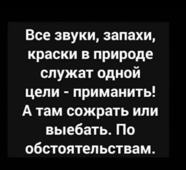 Муж отказывается прописывать меня!