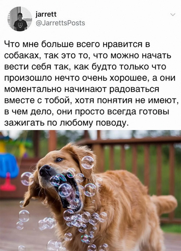 Картинки и мемы для настроения - 125
