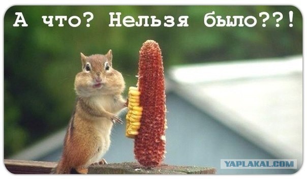 Бульдозерист раздавил машину босса