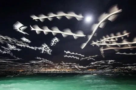 Тороидальные пропеллеры - путь к кардинальному увеличению эффективности