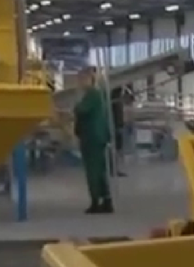 Путин приехал посмотреть, как обрабатывают шишки в Архангельской области