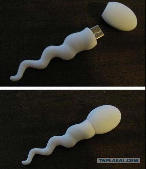 Эх, молодежжж...