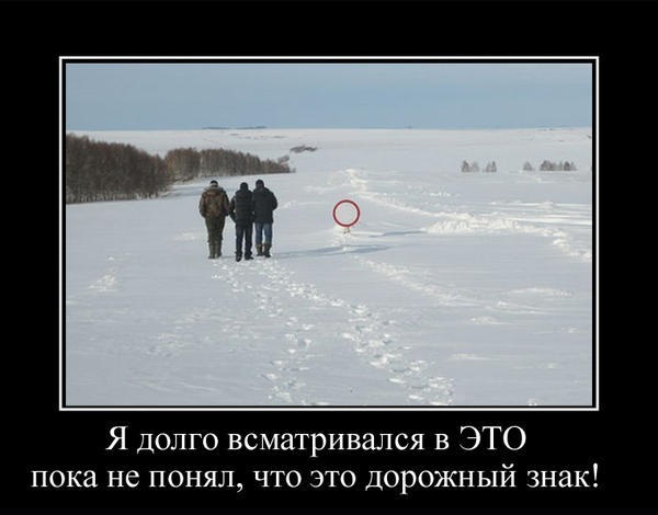 Баяны 10-ти летней выдержки