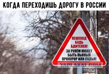 Судят сотрудников ДПС за то что задержали помощника прокурора