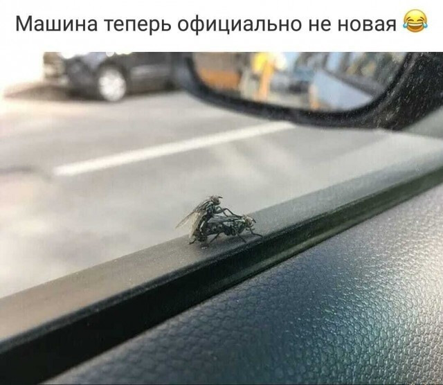 18243958.jpg