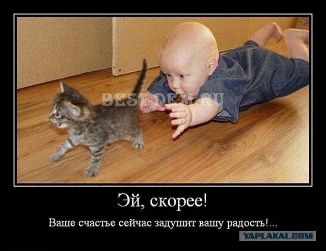 Когда уже привык настолько, что тебе всё пофигу
