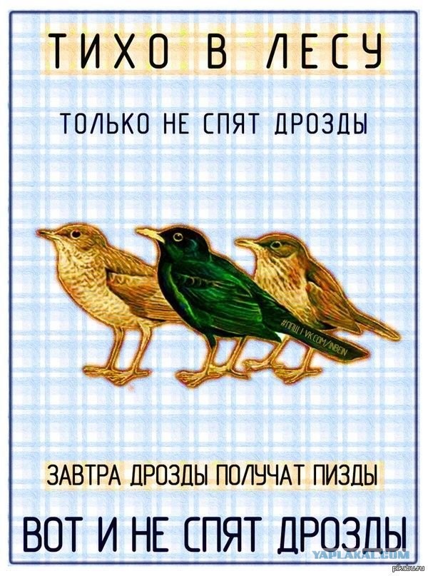 В чем заключается секрет скорости "Черного дрозда"