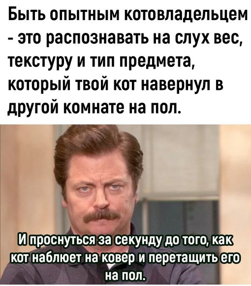 Так себе картинки 02.09.24