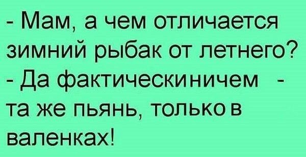 Весёлый полтишок 06.11.24