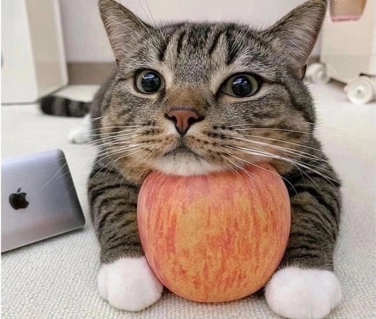 Это потому что я чёрный?