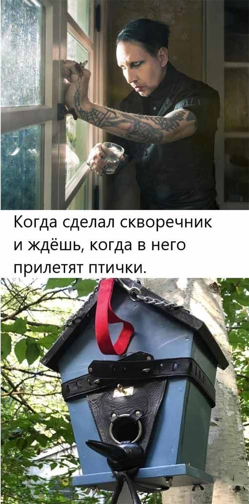 Завалялось тут случайно немного забавных картинок