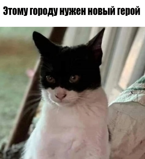 Так себе картинки 13.01.25