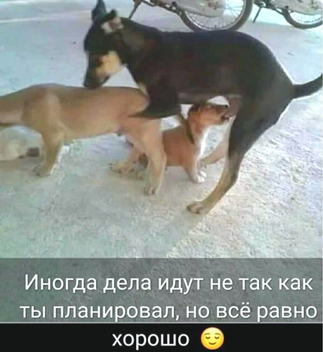 Завалялось тут случайно немного забавных картинок