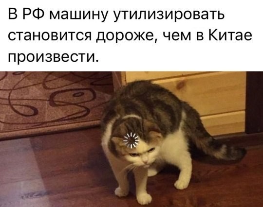 Картиночки, баянчики 15 декабря