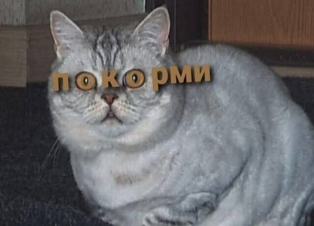 Субботние картинки