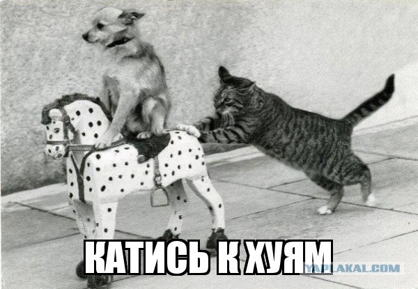 Россиянам назвали способ накопить миллион рублей