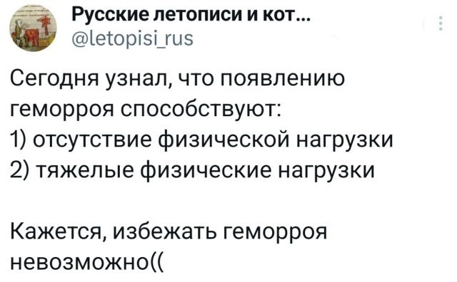 Потная гамсахурдия №6 (Картинки)