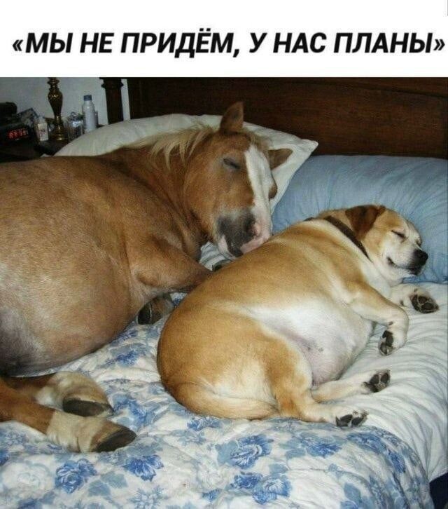 Так себе картинки 21.06.26
