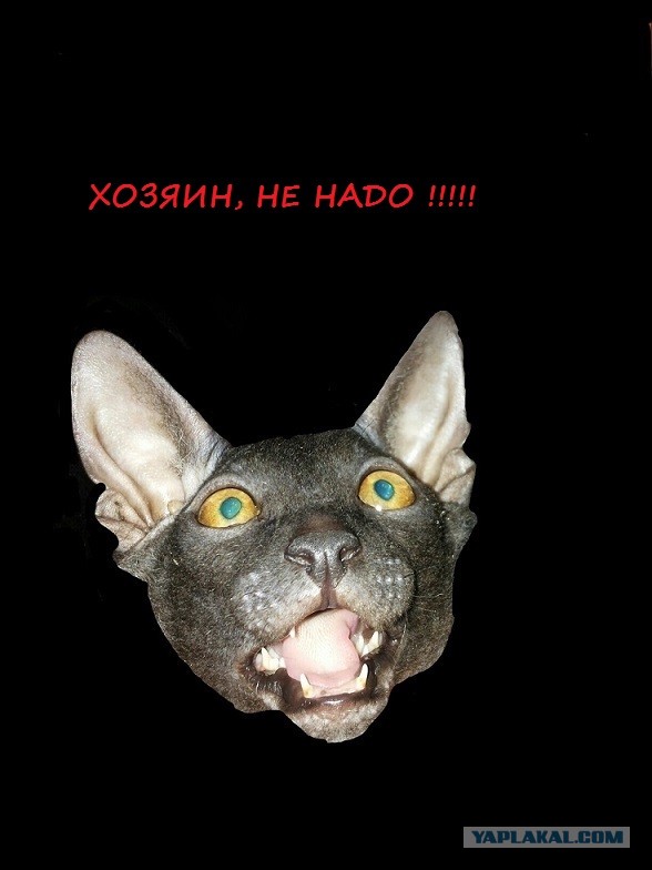 Резать или не резать