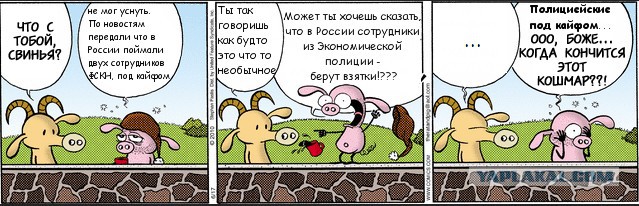 Двое наркополицейских обнаружены под кайфом