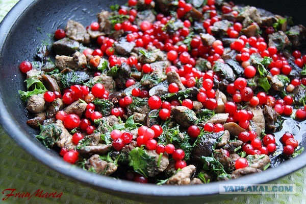 Пирог.. С мясом, брусникой и грибами, Тесто без заморочек