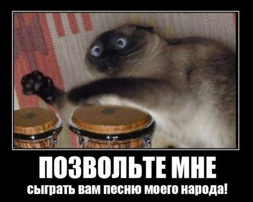 Песня котэ 2.