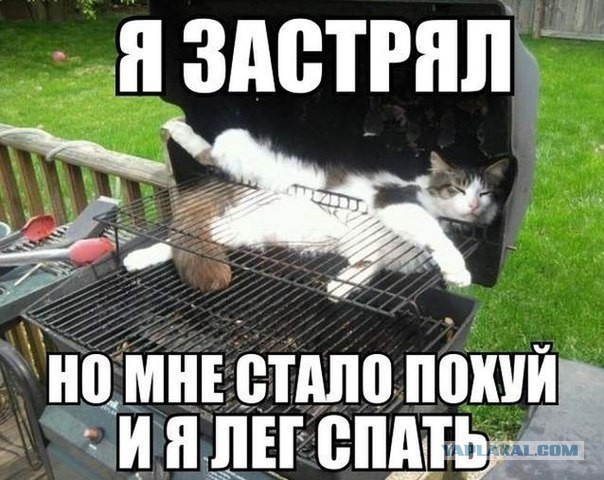 Очень удобное место и поза