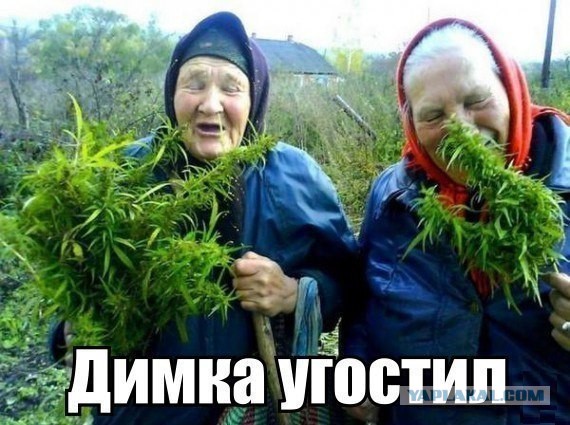 Хапанула очень много