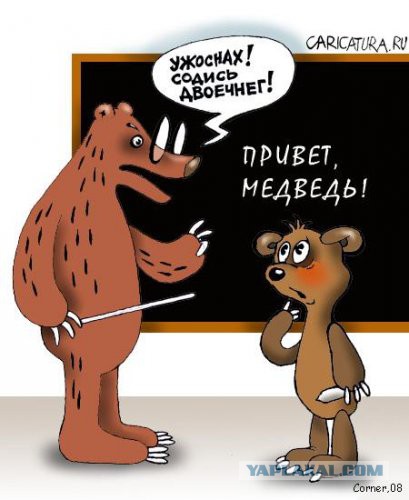 Медведи почти на все случаи жизни