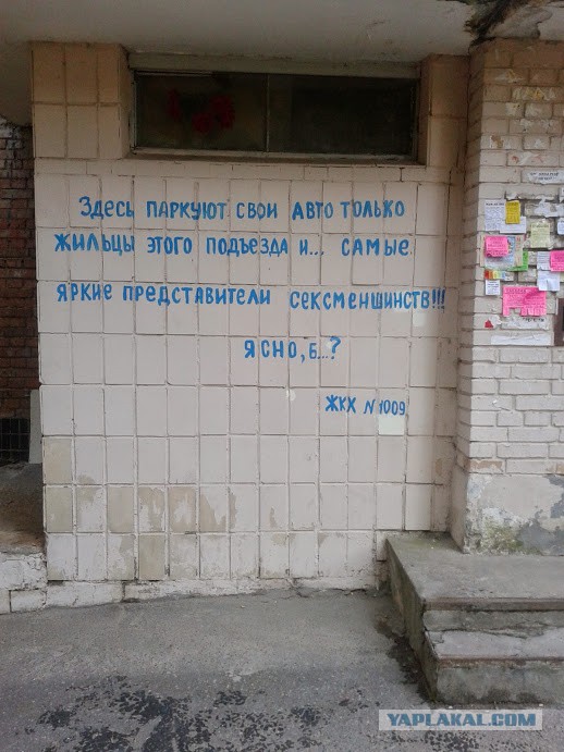 Последнее фото с Вашего телефона.