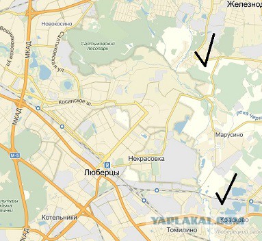 В Москве чувствуется сильный запах сероводорода