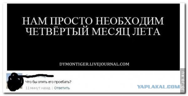 Смешные комментарии из социальных сетей