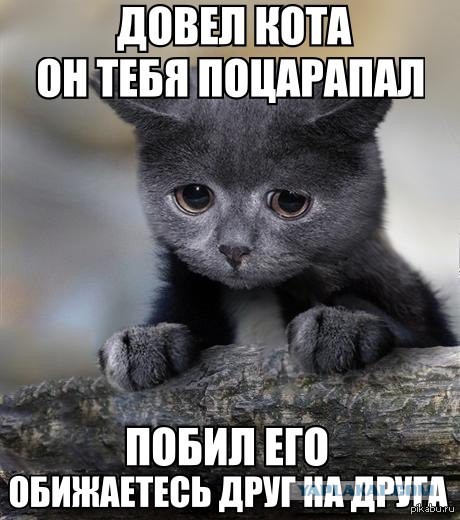 Прикольные картиночки